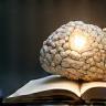 Knowledge icon