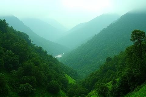 Lush green natural landscape in India with mountains and mist